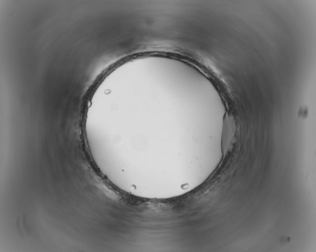 X0000089931312200707271749