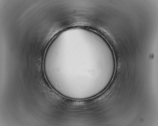 X0000089931313200707271749