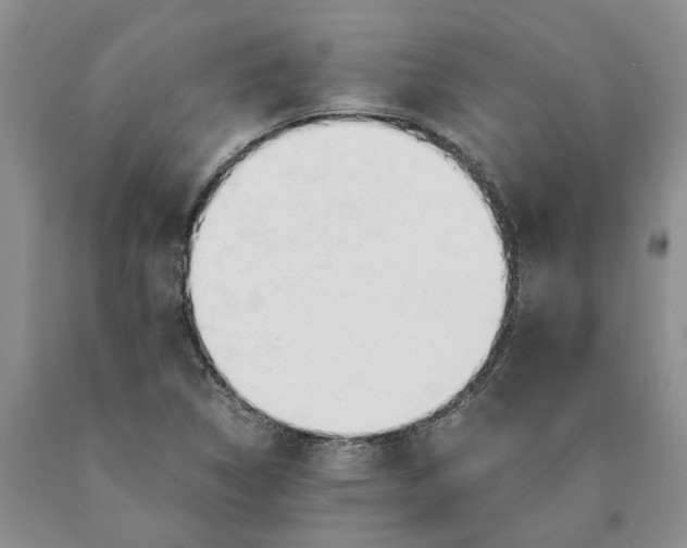 X0000089931314200707271749