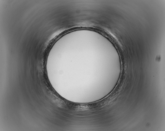 X0000089931315200707271749