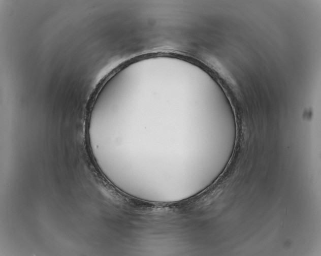 X0000089931316200707271749