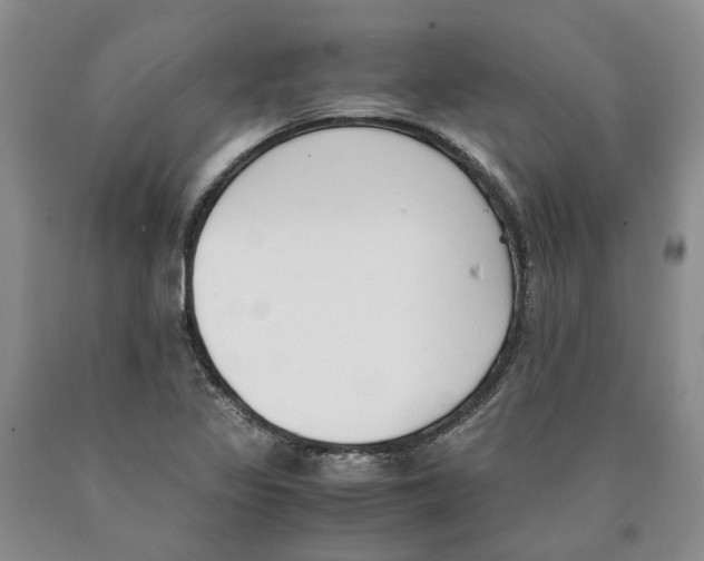 X0000089931317200707271749