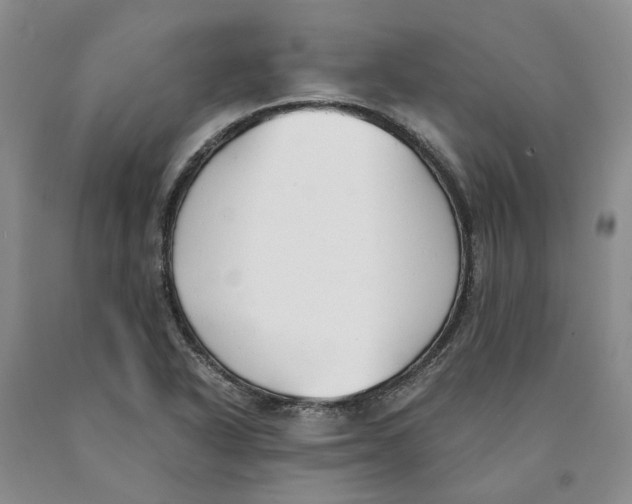 X0000089931318200707271749