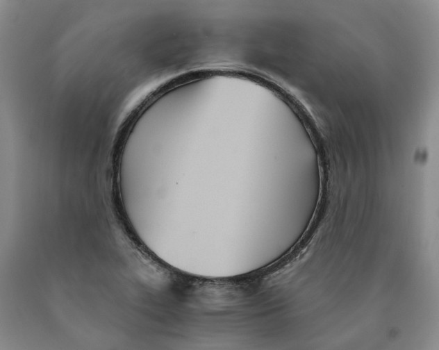 X0000089931319200707271749