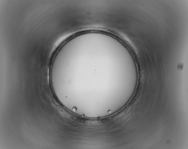 X0000089931320200707271749