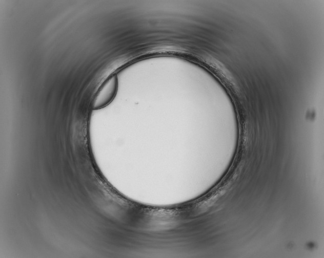 X0000089931321200707271749