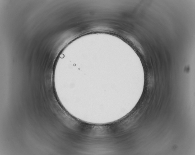 X0000089931322200707271749