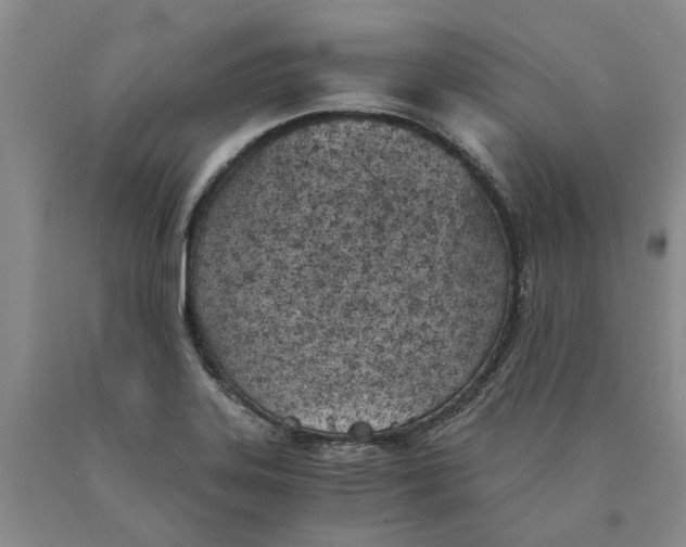 X0000089931323200707271749