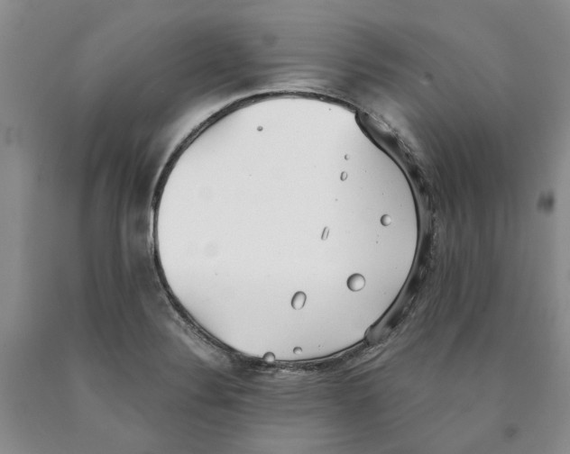 X0000089931324200707271749