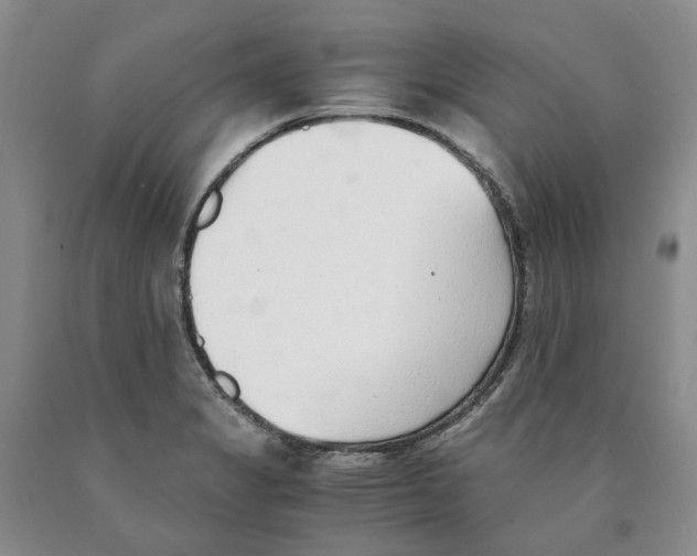 X0000089931325200707271749