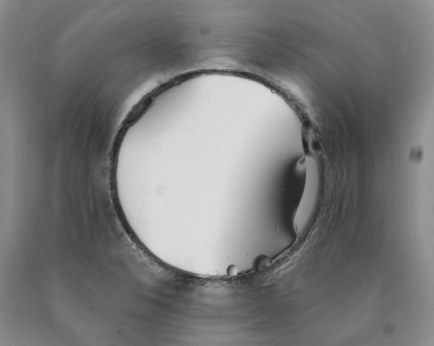 X0000089931326200707271749