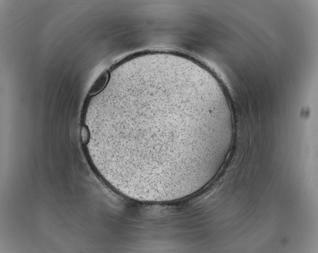 X0000089931327200707271749