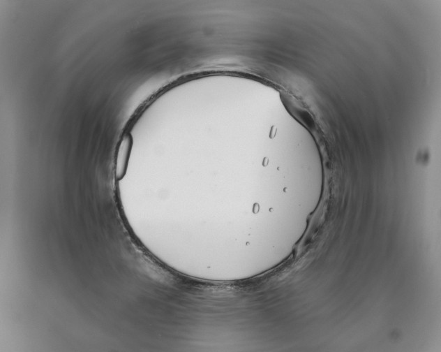 X0000089931328200707271749