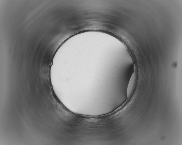 X0000089931329200707271749