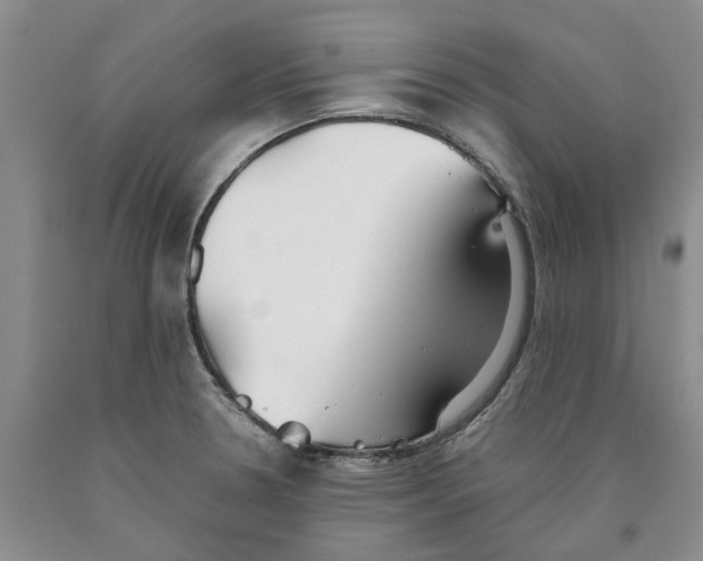 X0000089931330200707271749