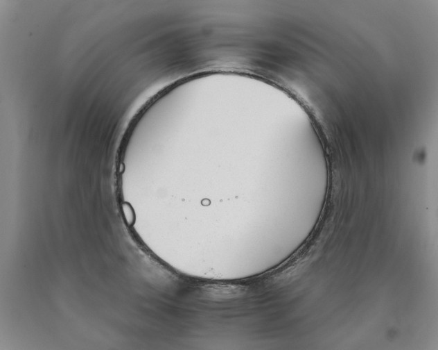 X0000089931331200707271749