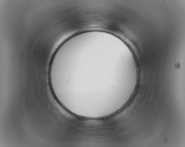 X0000089931333200707271749