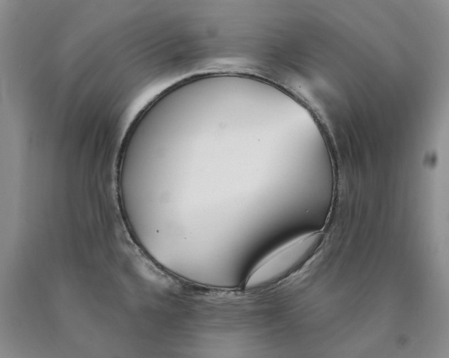 X0000089931336200707271749