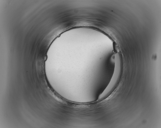 X0000089931337200707271749