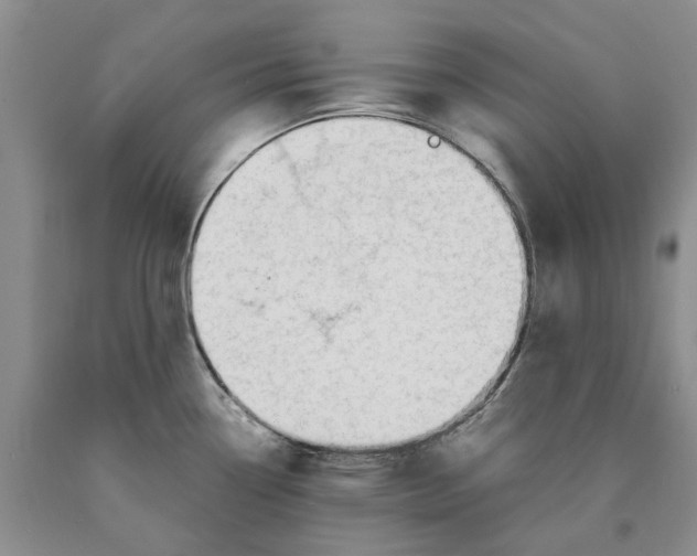 X0000089931338200707271749