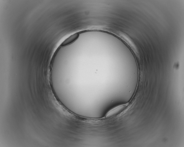 X0000089931340200707271749