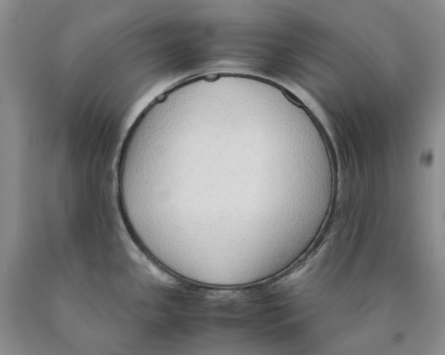 X0000089931341200707271749