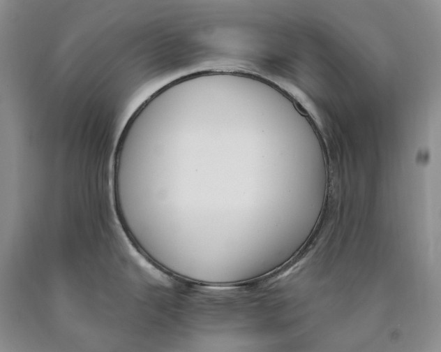 X0000089931343200707271749