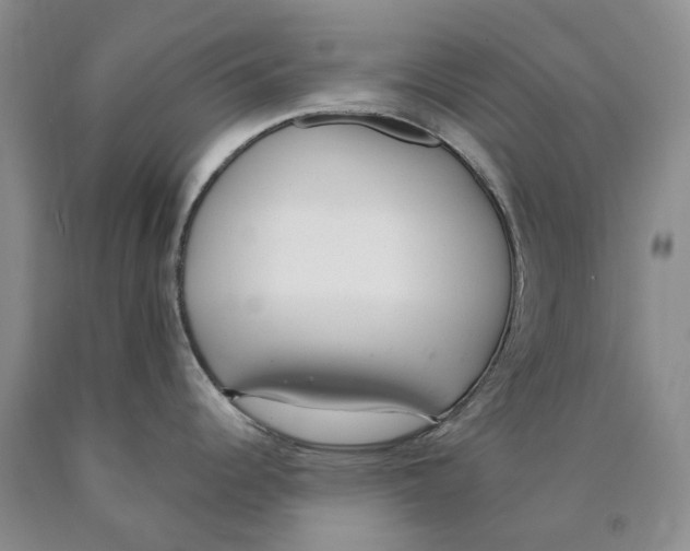 X0000089931344200707271749