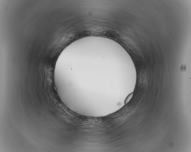 X0000089931346200707271749