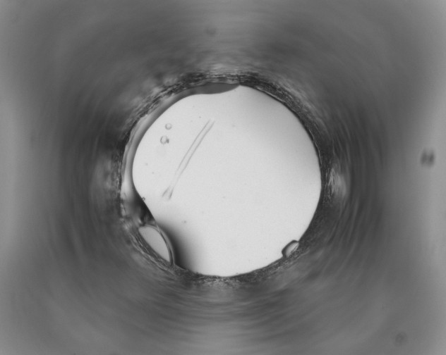 X0000089931348200707271749