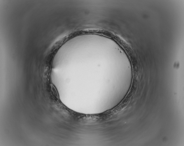 X0000089931351200707271749