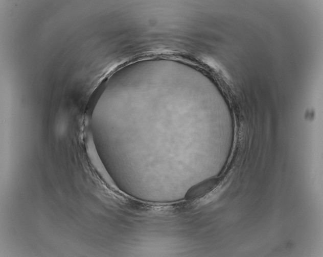 X0000089931353200707271749