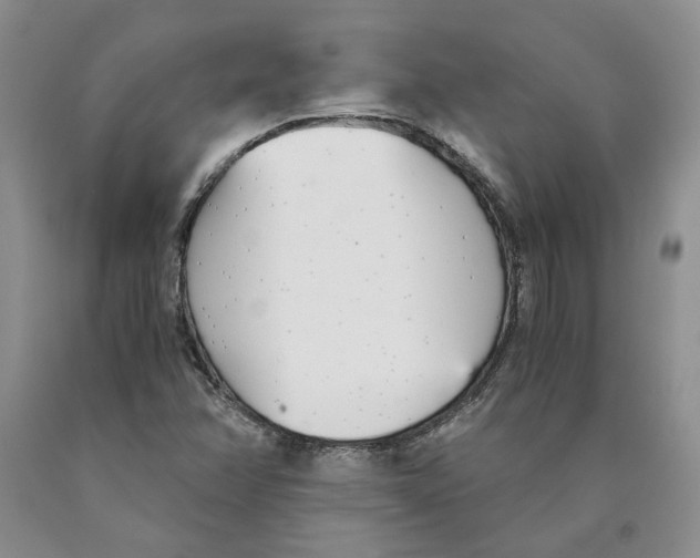 X0000089931358200707271748