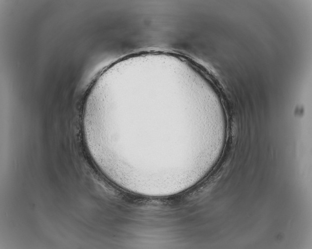 X0000089931359200707271748