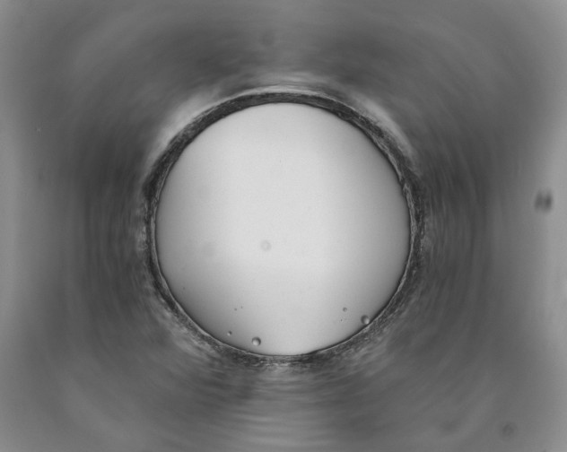 X0000089931360200707271748