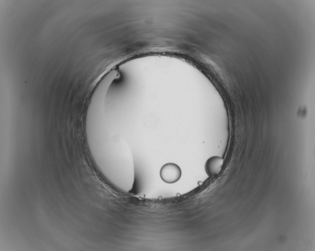 X0000089931361200707271748