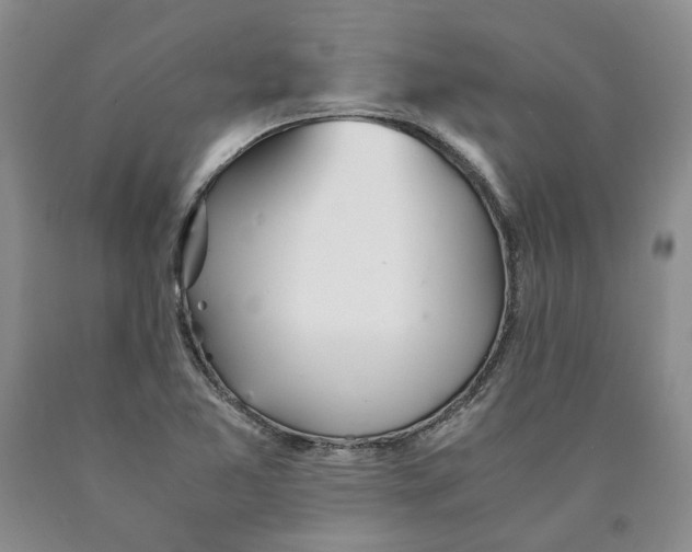 X0000089931365200707271748