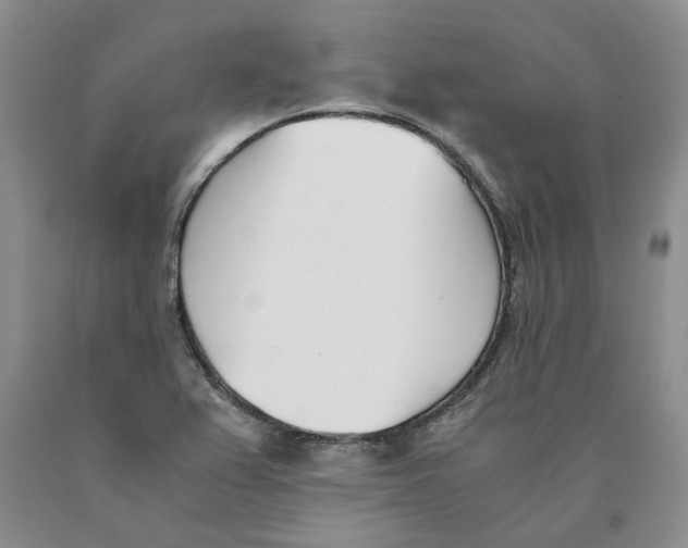 X0000089931367200707271748