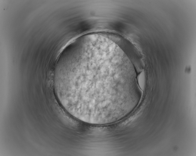 X0000089931369200707271748