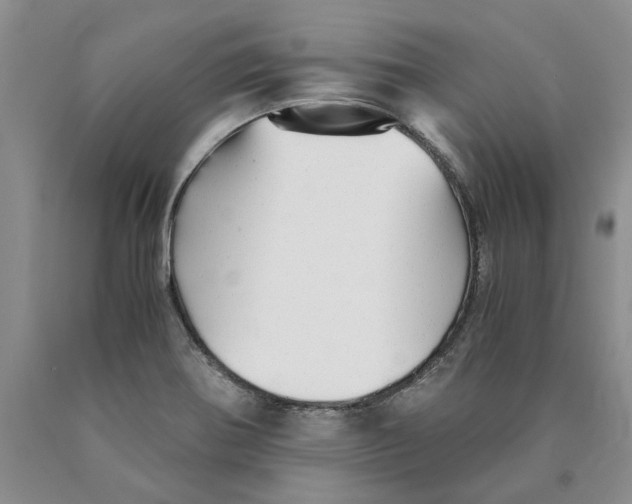 X0000089931370200707271748