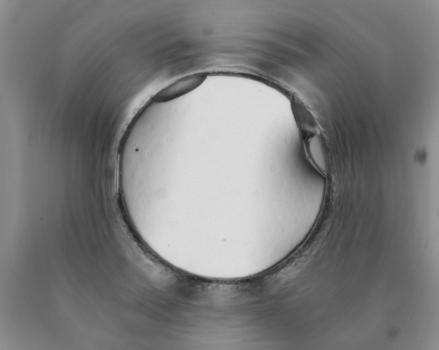 X0000089931371200707271748