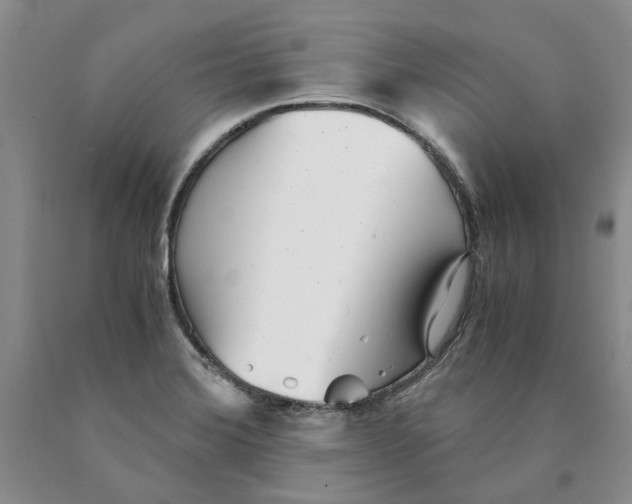 X0000089931372200707271748