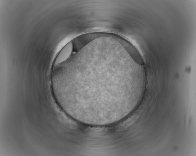 X0000089931373200707271748