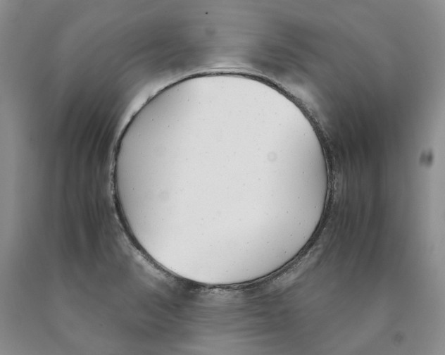 X0000089931374200707271748