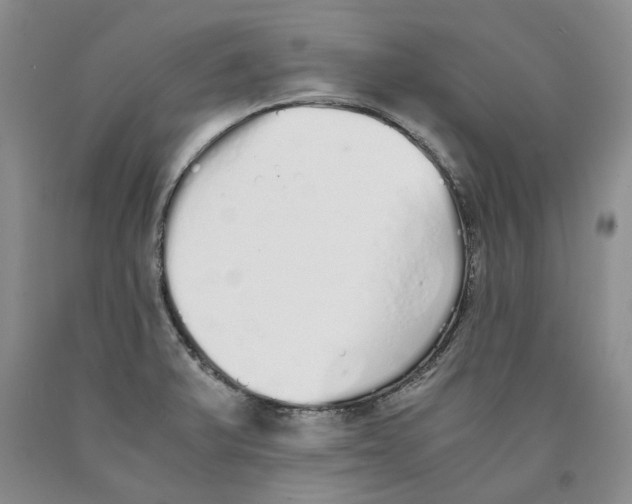 X0000089931375200707271748