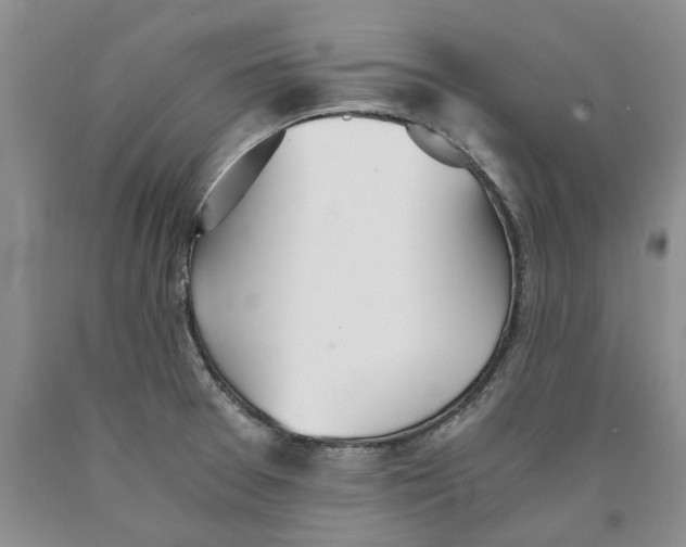 X0000089931377200707271748