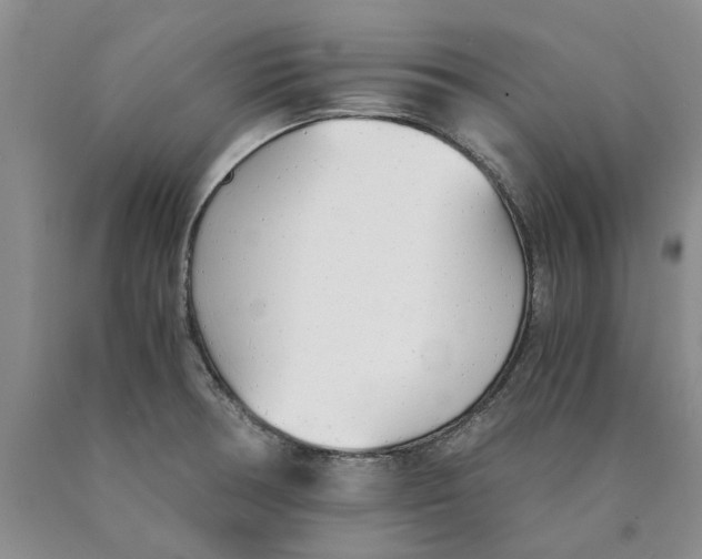 X0000089931378200707271748