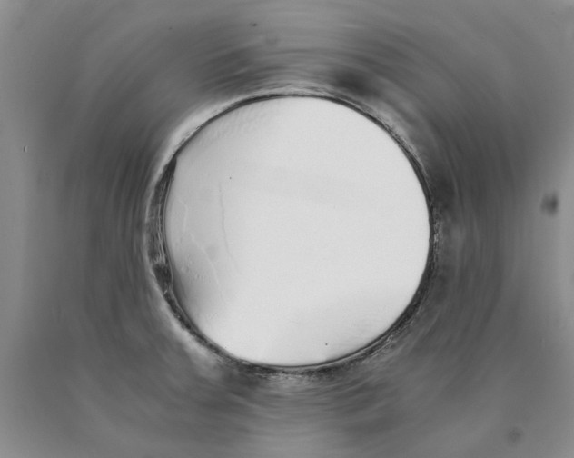 X0000089931379200707271748