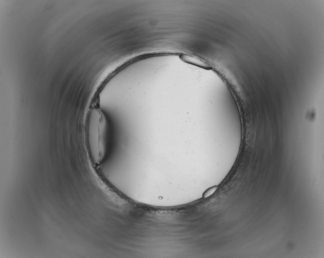 X0000089931380200707271748