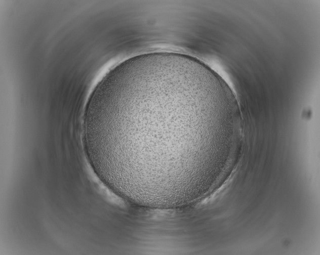 X0000089931381200707271748